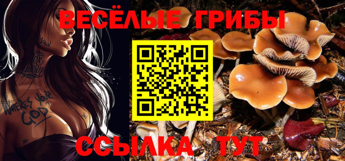Галлюциногенные грибы прущие грибы  Вход с VPN  Бийск 
