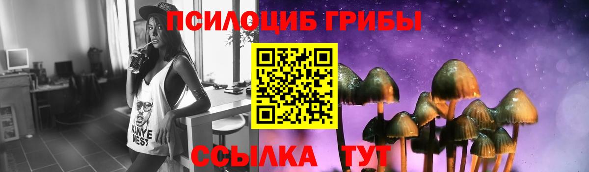 Псилоцибиновые грибы прущие грибы Бийск